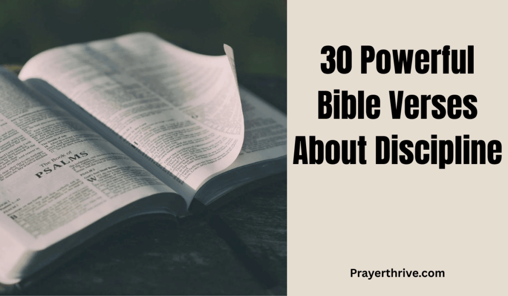 Here are 30 powerful Bible verses about discipline to encourage you today.