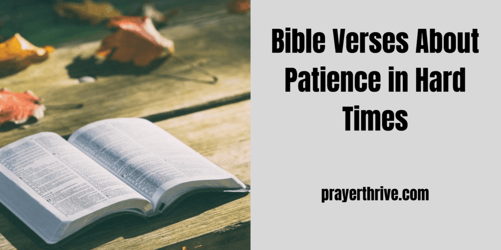 An open Bible with highlighted text on patience, offering comfort and encouragement during struggles — representing 20 bible verses about patience in hard times.