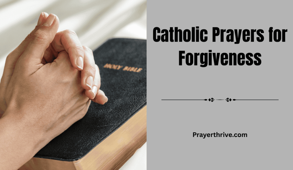 An open Bible with soft light shining on the pages, symbolizing peace and reflection during Catholic Prayers for Forgiveness.