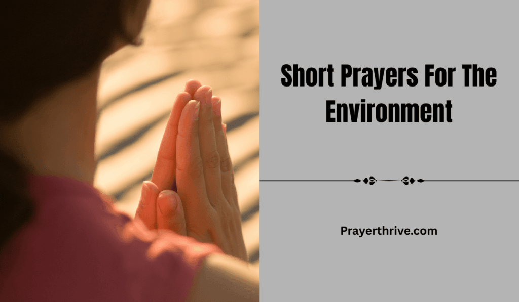 A serene landscape with gentle sunlight and trees, reflecting Short Prayers For The Environment.
